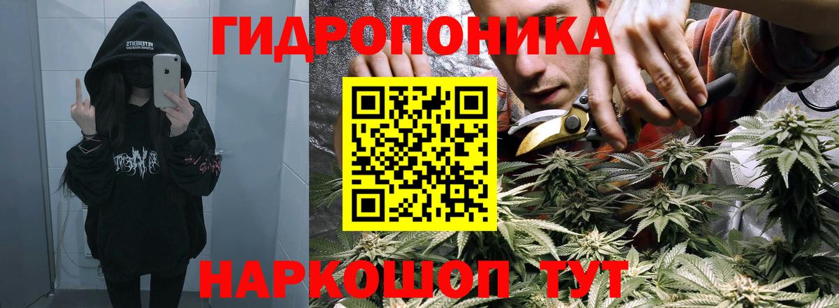 Бошки марихуана White Widow Ставрополь